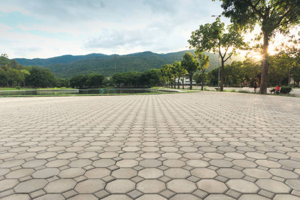 Best Driveway Pavers Near Me  in Orchard Homes, MT